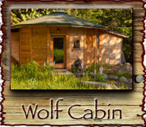 Wolf Cabin Stormking Spa Mt. Rainier