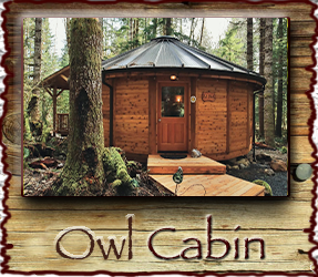 Owl Mt. Rainier Rental Cabin at Stormking Spa in Ashford WA
