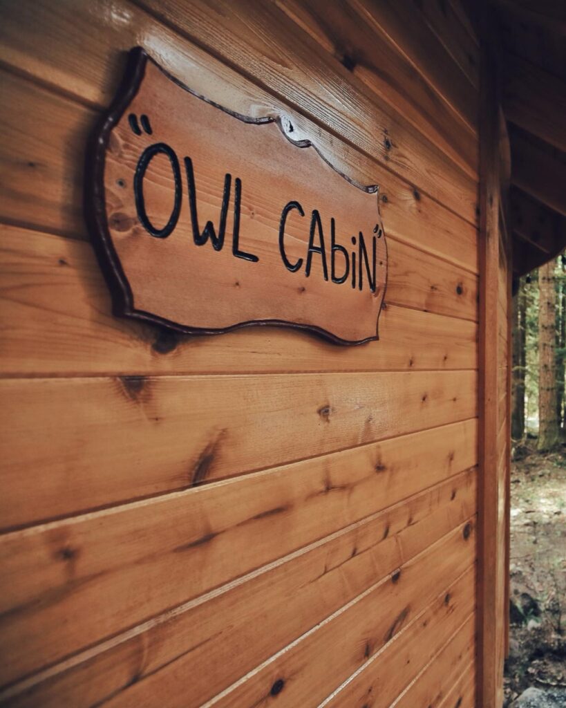 stay at owl cabin mount Rainier