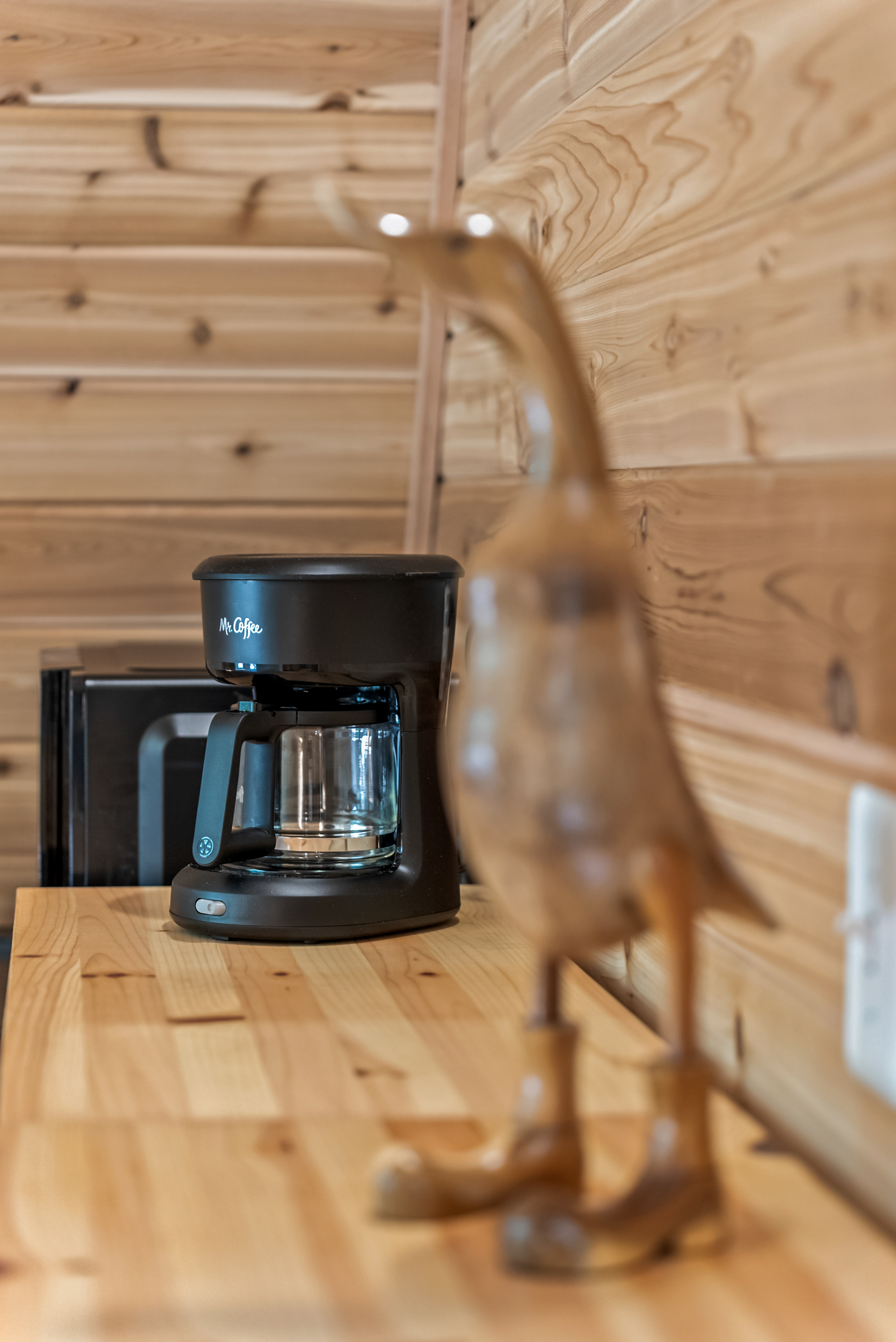 Earle cabin interior 2