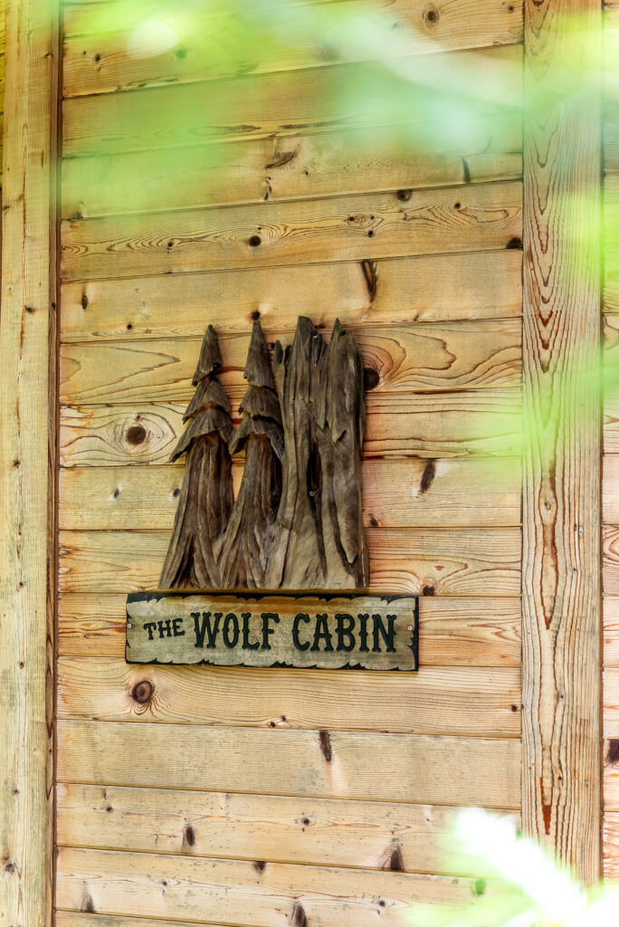 welcome to the wolf cabin at mt. rainier 