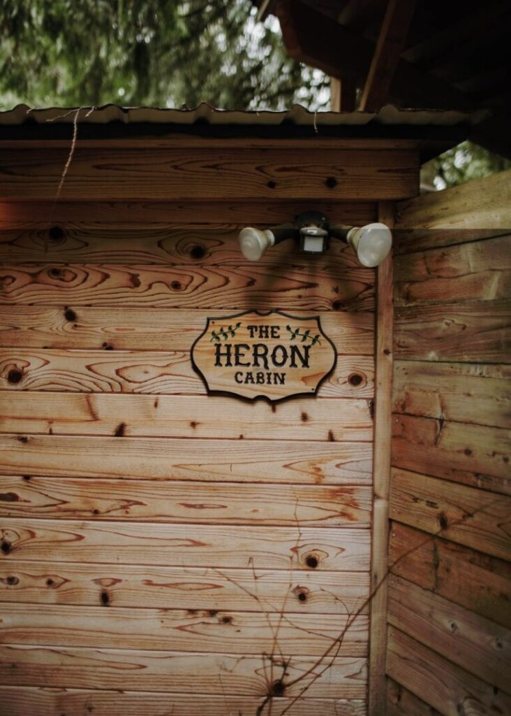 stay at heron cabin Mount Rainier