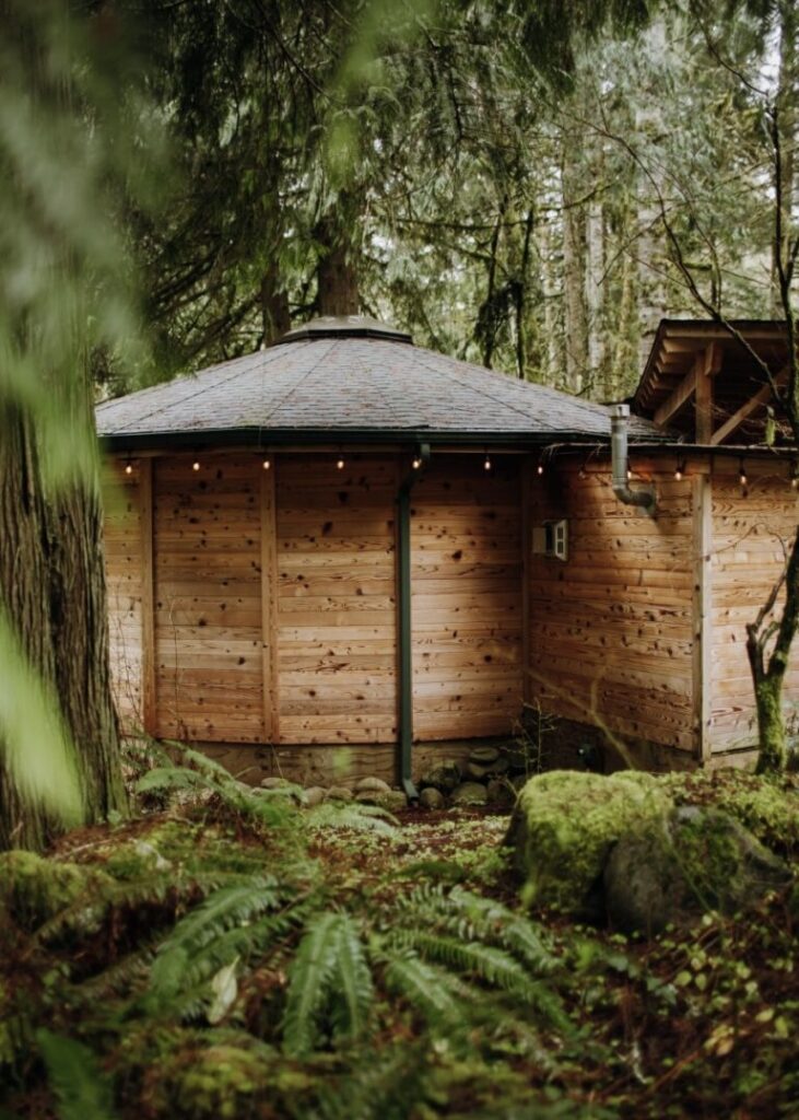 Heron Cabin at Mt Rainier