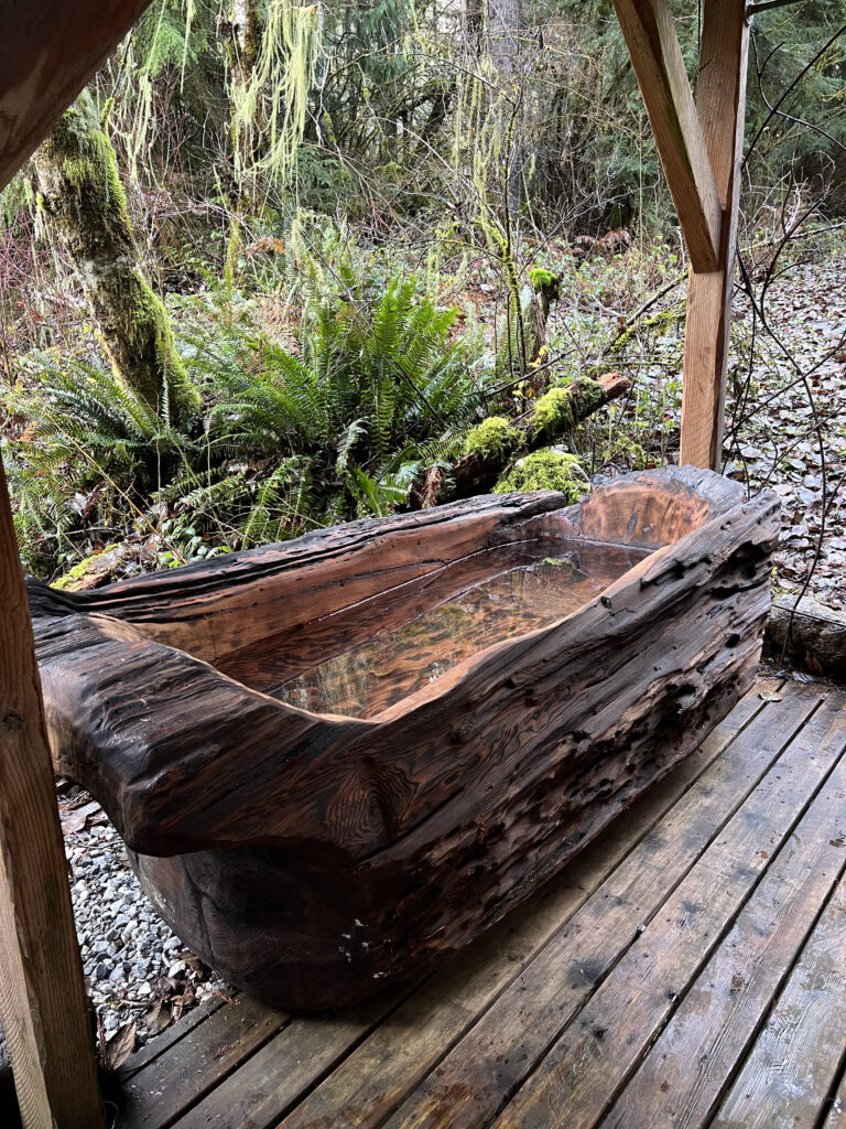 elk cabin hot tub photo 2