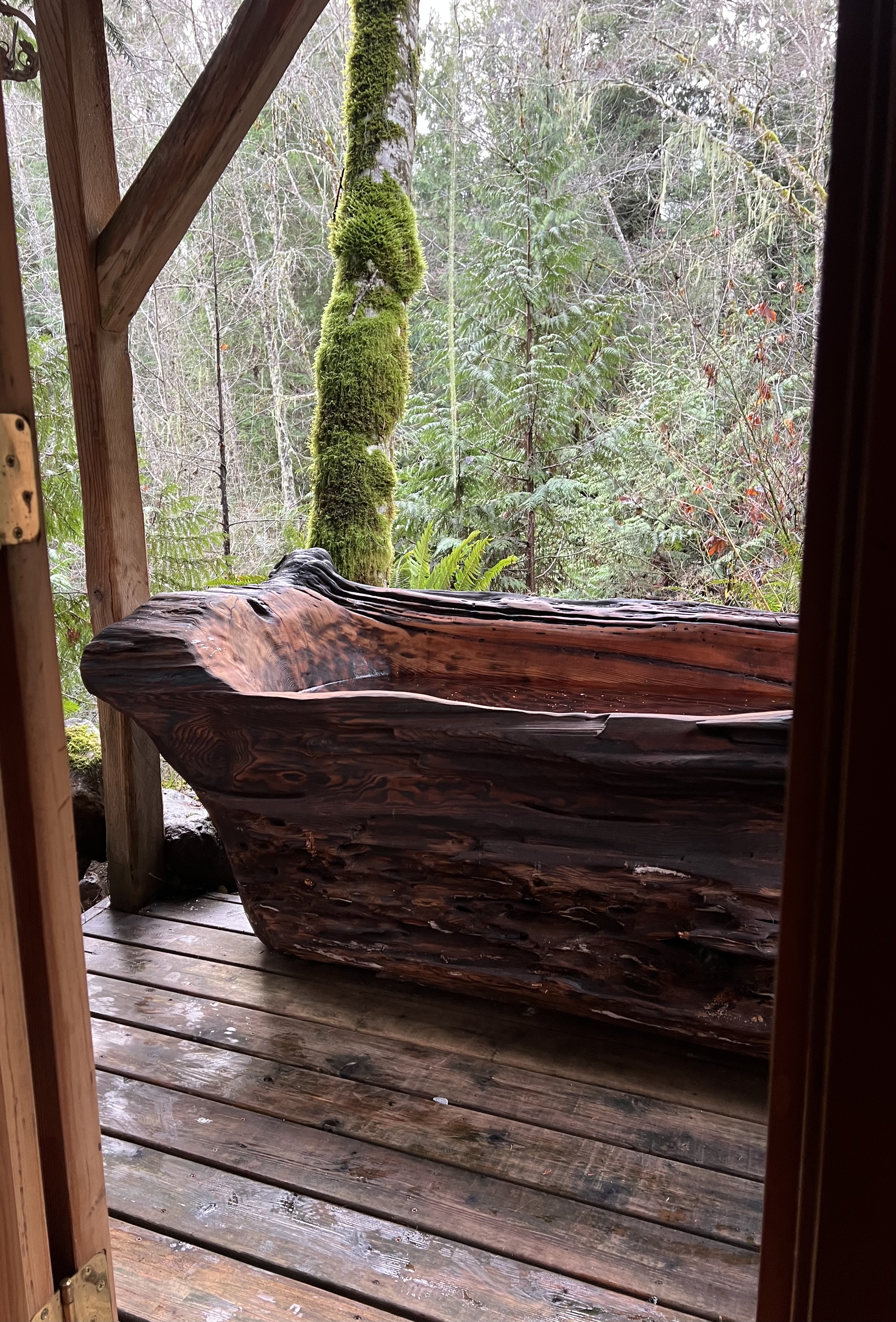 elk cabin hot tub photo 3