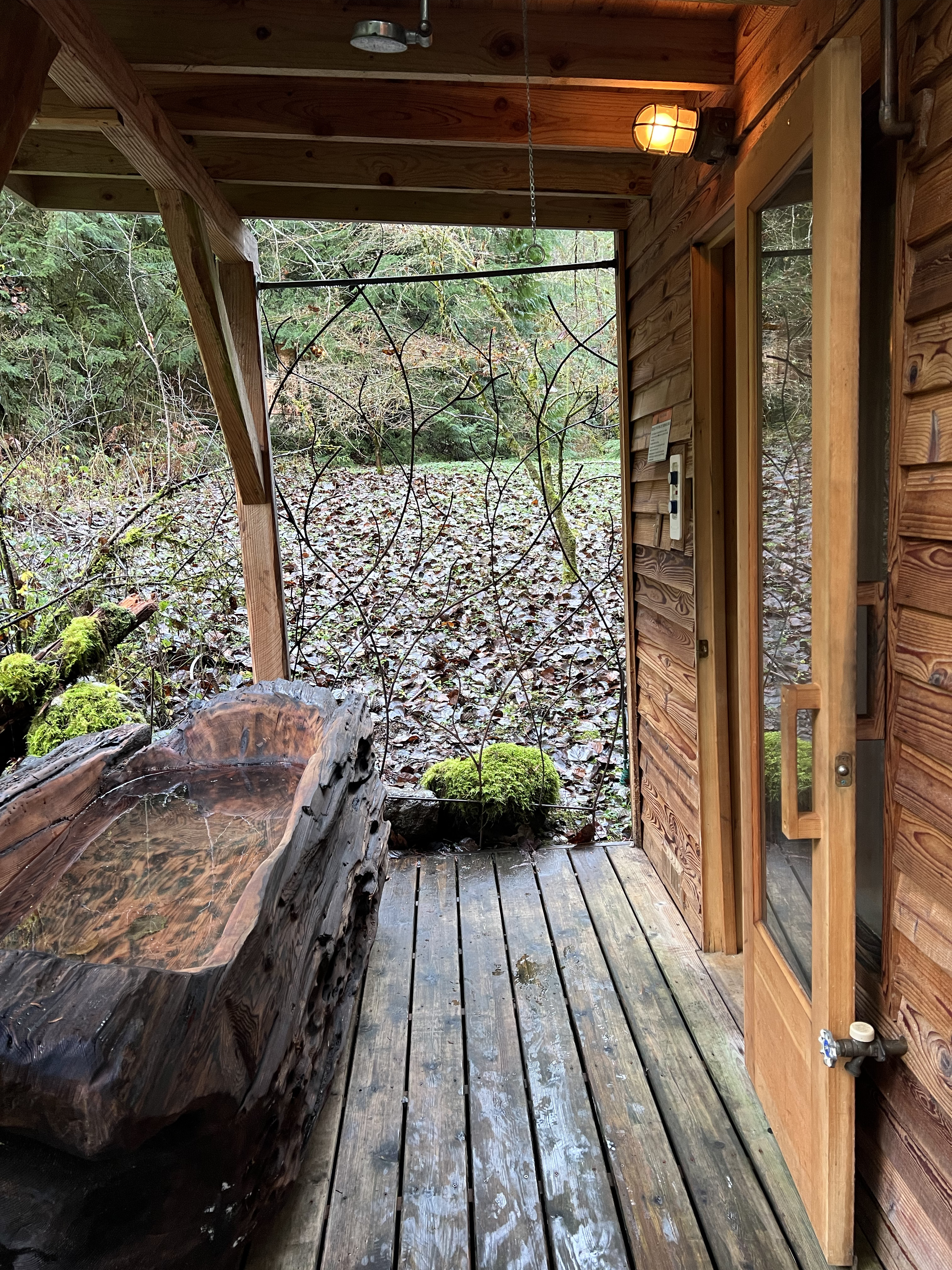 elk cabin hot tub photo 5
