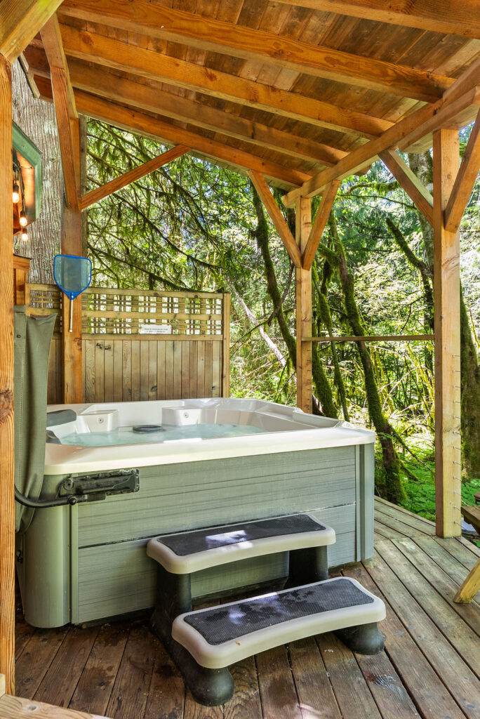 Heron Cabin at Mt Rainier hot tub photo 2