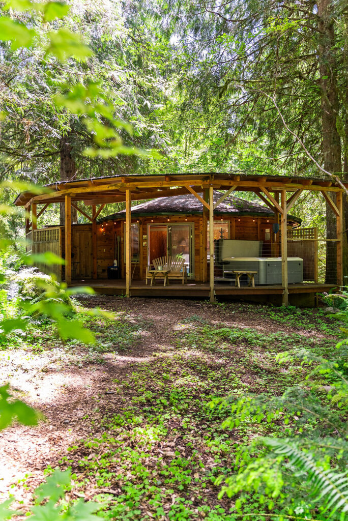 Heron Cabin at Mt Rainier photo 2