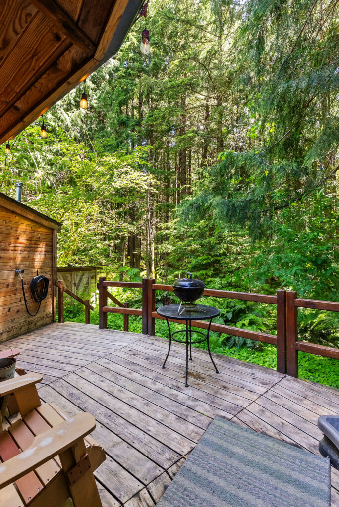 bear cabin with private hot tub photo 1
