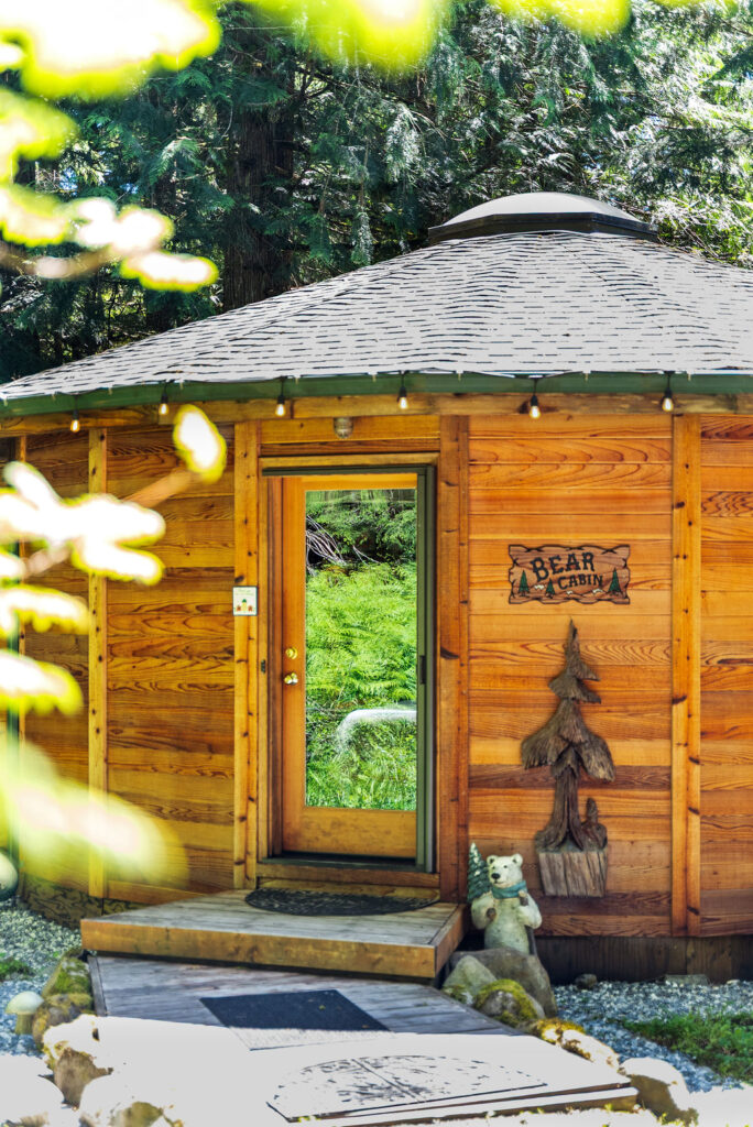 Bear Cabin at Stormking Cabins & Spa in woods photo 1
