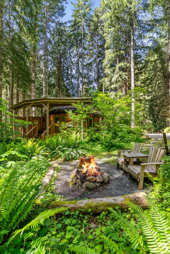Stormking spa owl cabin in the woods near Mt Rainier photo 1