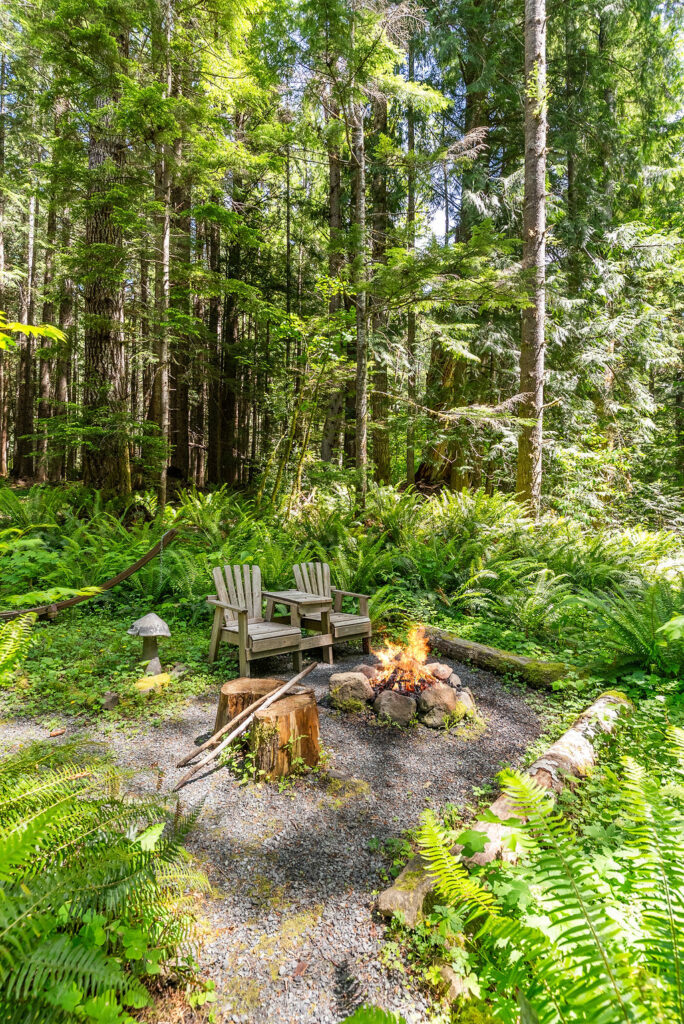 Stormking spa owl cabin in the woods near Mt Rainier photo 2