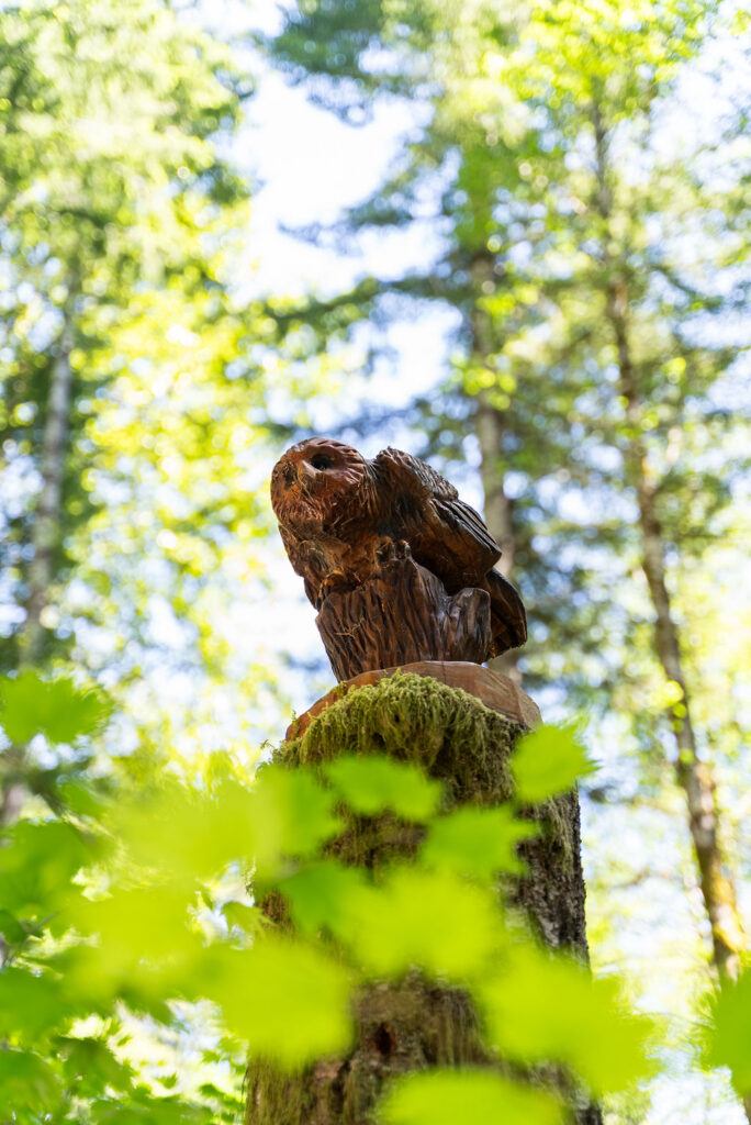 Owl cabin rental in Washington photo 1